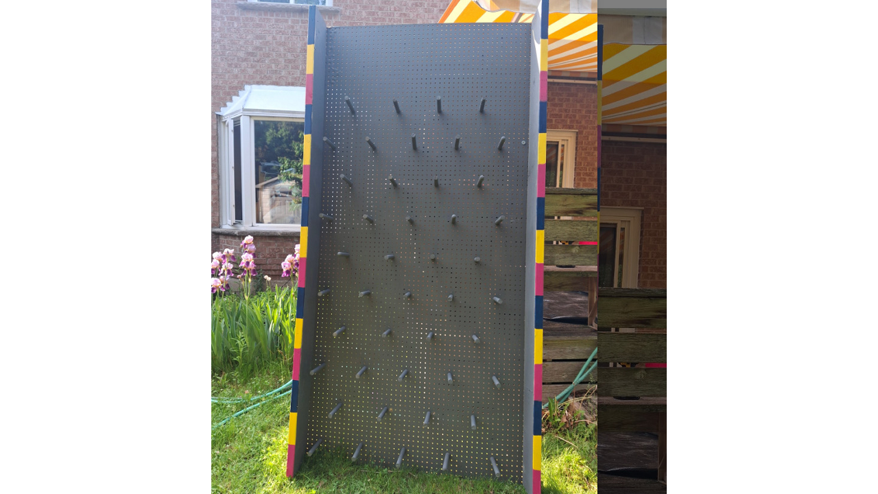 A Real-Life Horse Plinko